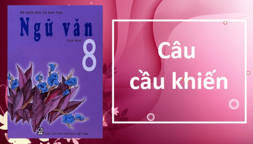 viet-doan-van-co-cau-cau-khien